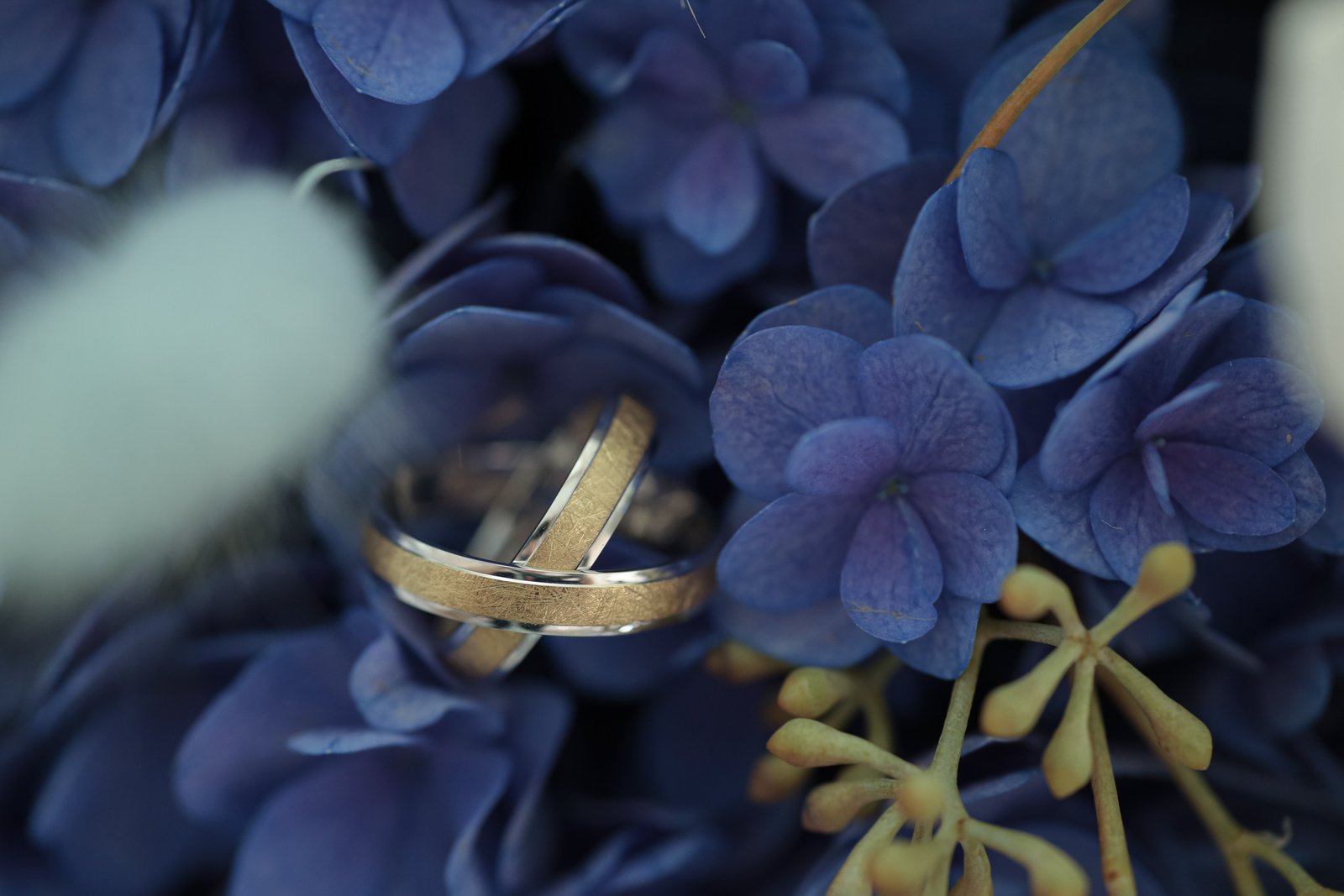 Séance photo lifestyle, en Alsace, au naturel avec Anne Leichtnam, en toute simplicité Hotel 5 Terres Hôtel & Spa - MGallery Collection