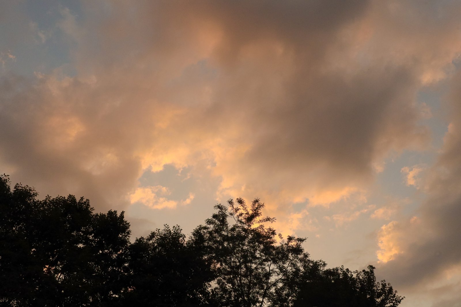 Séance photo lifestyle, en Alsace, au naturel avec Anne Leichtnam, en toute simplicité Hotel 5 Terres Hôtel & Spa - MGallery Collection
